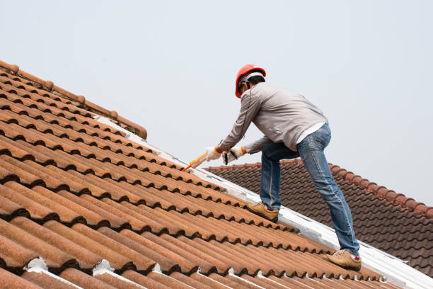 Reliable Hobart, WA Roofing service Solutions